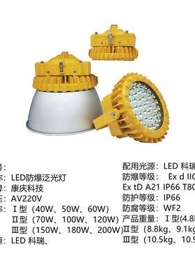BFC8126 LED防爆泛光灯 200瓦 大功率厂房防爆高顶灯 RFBL165