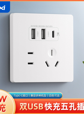 86型TypeC充电面板usb开关插座220v转5vusb电源20W充电五孔面板