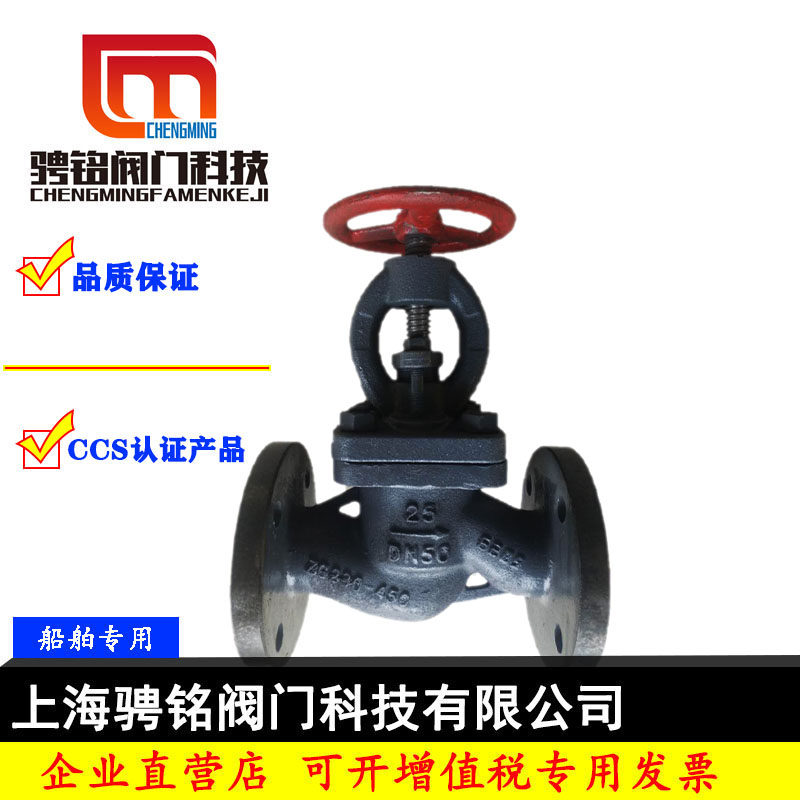 骋铭截止止回阀船用法兰铸钢蒸汽