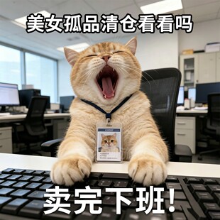 【每日更新】孤品彩妆清仓 口红唇釉腮红眼影唇釉粉扑唇蜜高光