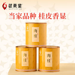 武夷星茗悦清香肉桂茶叶正宗乌龙茶小罐装武夷岩茶旗舰店四星105g