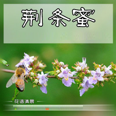 云门山野生天然原生态蜂蜜  荆条蜜荆花蜜500g