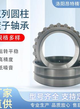 洛阳昂特高精密轴承源头 工厂 NN3048K 机械设备双列圆柱滚子轴承