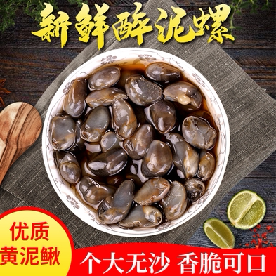 福建温州特产开泰野生黄泥螺 醉泥螺新鲜即食海鲜无沙爽脆泥螺1瓶