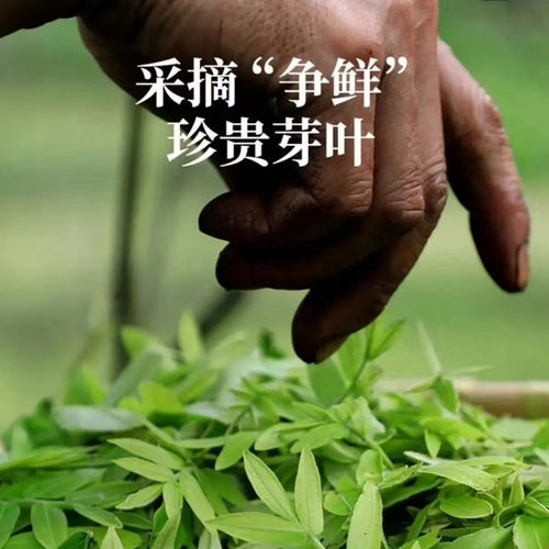 湖北神农谷神农树神龙叶绥宁青钱柳旗舰店直播同款官方正品7mn