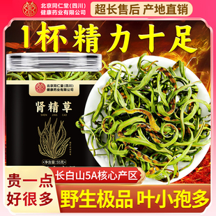 东北肾精草泡茶长白山野生小叶黄金草嗷嗷叫化石草男士养生正品xl