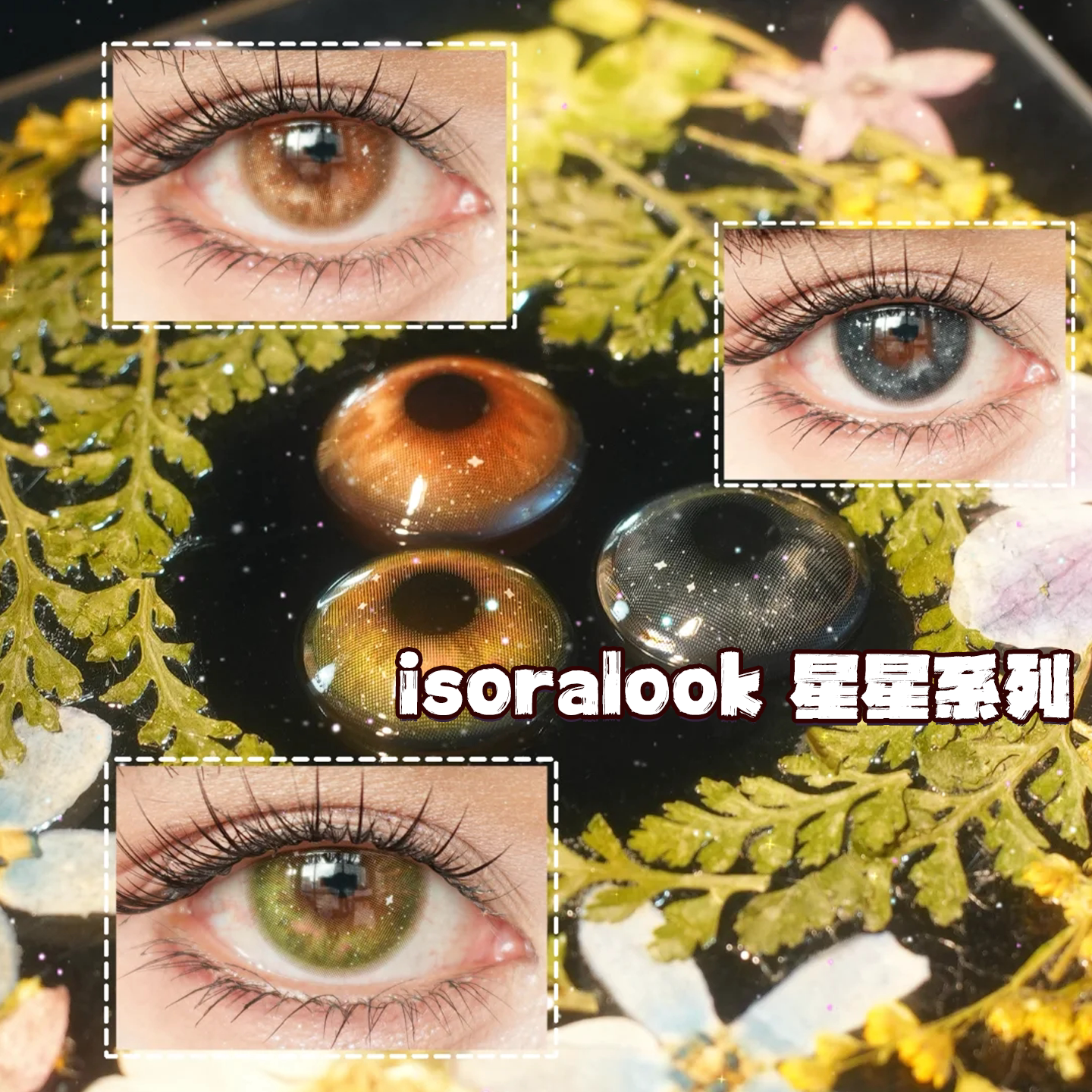 IsoraLook美瞳半年抛新品星星海苔星星薯饼星星橄榄正品显色栋bs图片
