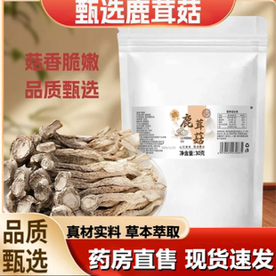 骏奥鹿茸菇菌菇蘑菇脆脆菇炖汤菇袋装 1LB 炖汤喝官方旗舰店正品