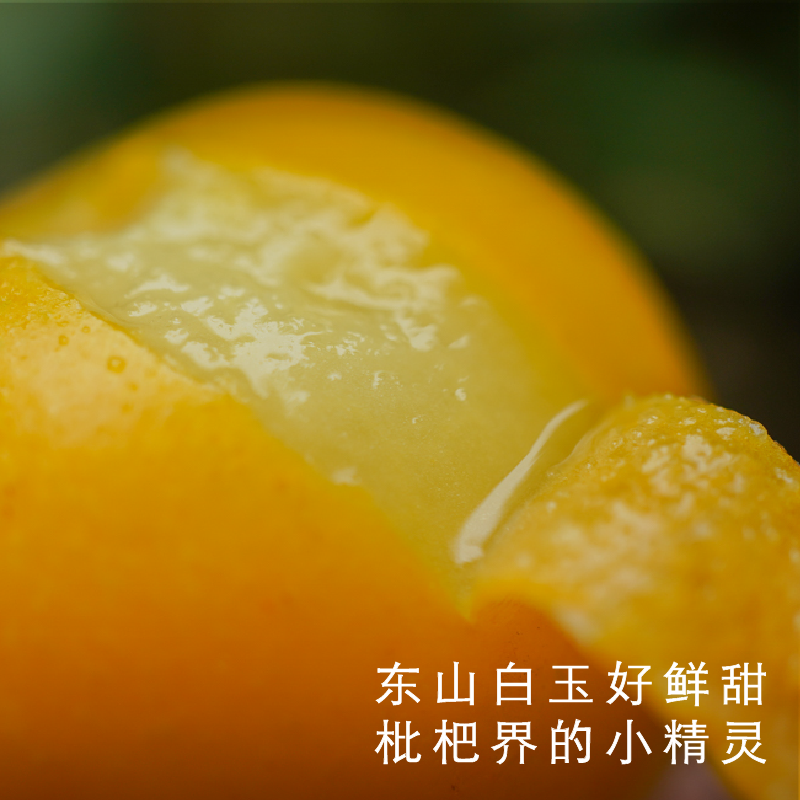 艾格吃饱了苏州东山白玉枇杷清甜味浓细腻水润顺丰快递