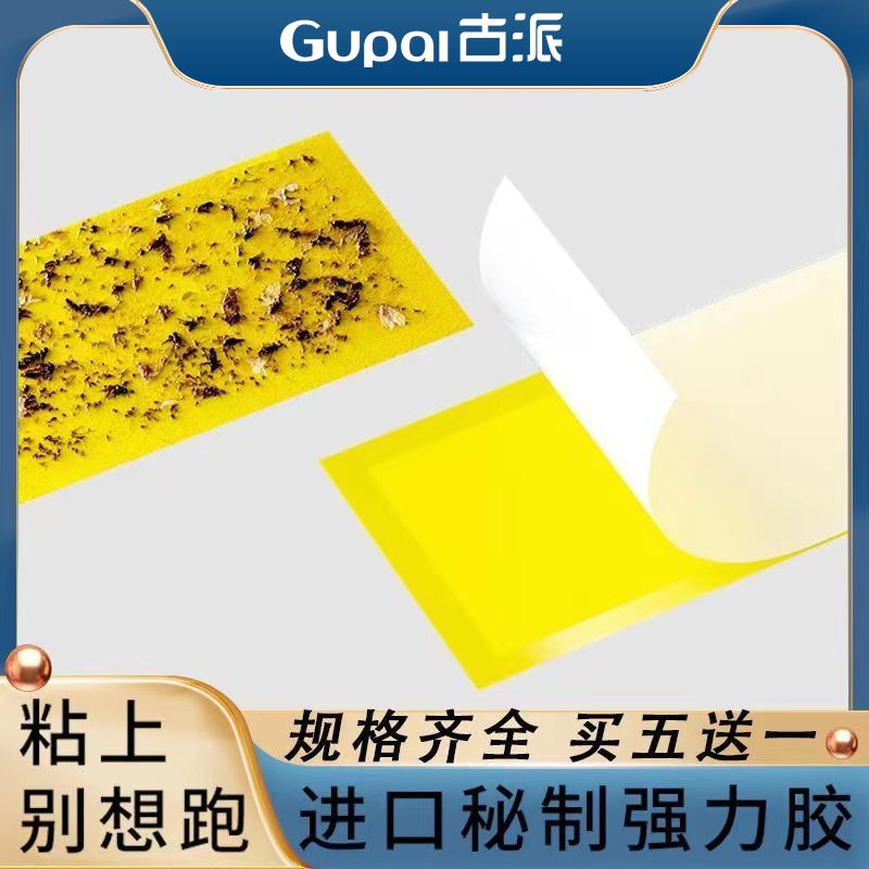 粘纸板粘捕式灭蝇灯专用粘蝇纸粘虫板灭蝇纸蚊子苍蝇灭蚊灯粘飞