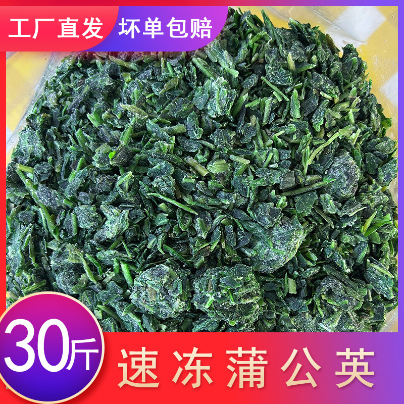速冻蒲公英碎新鲜冷冻婆婆丁