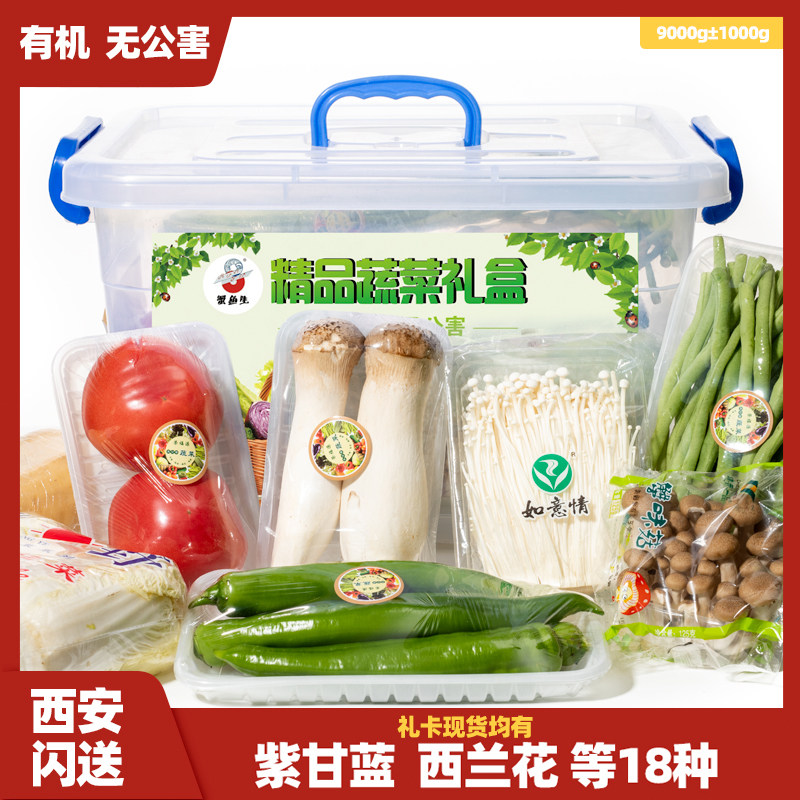 新鲜有机混合精品蔬菜礼盒大礼包