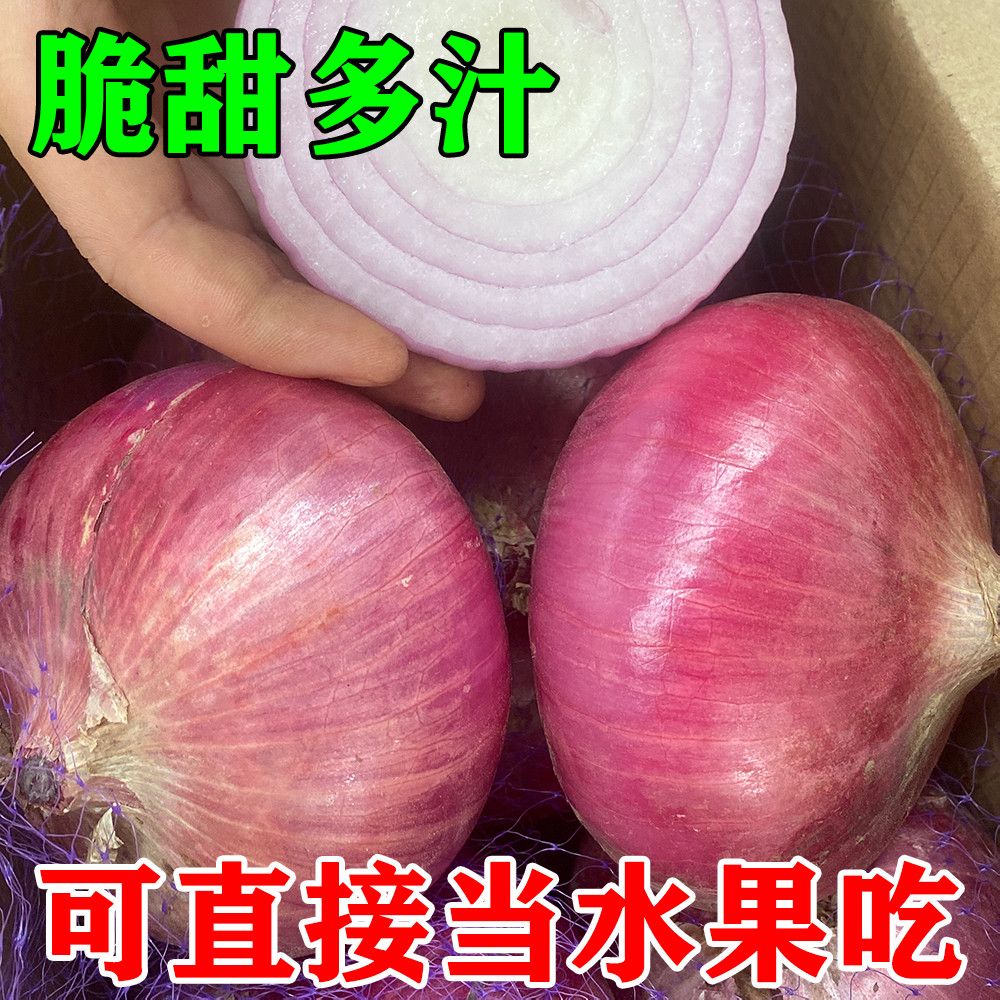 2026水果洋葱生吃脆甜不辣山东新鲜红洋葱散装脆甜多汁可当水果吃