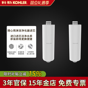 科勒随心雨淋浴净化滤芯淋浴净化滤芯沐浴花洒K NA过滤棒 R75751T