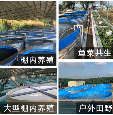 镀锌板帆布鱼水池全套加厚刀刮布养殖水池储水水池大型圆形带支架