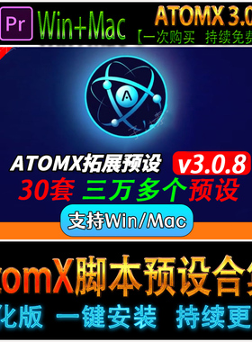 AtomX 婚礼文字幕转场标题文本小元素MG动画 30套  AE/PR脚本预设