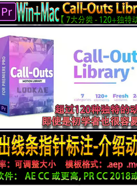 120组 Call Outs 呼出线指针标注文字标题  介绍动画 AE/PR模板