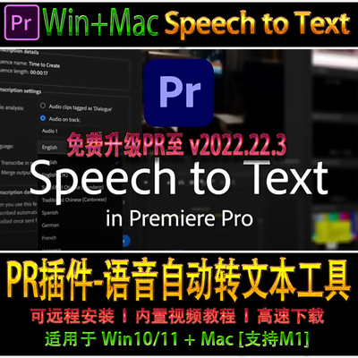 pr字幕自动识别语音转字幕pr语音包25 语音转文本 Speech to Text