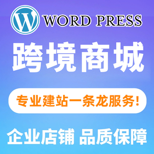 WordPress跨境独立站网站搭建WP网页设计多功能插件主题模版 定制