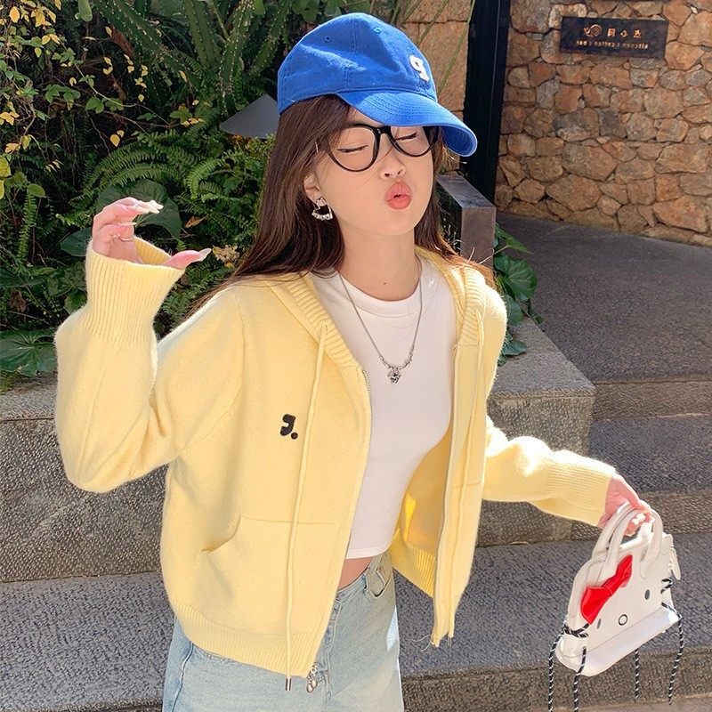 秋冬新款连帽卫衣温柔韩系针织衫休闲简约百搭显瘦优质毛衣女,个性定制/设计服务/DIY,连衣裙加工定制,淘宝优惠券,粉丝福利购,淘宝优惠卷