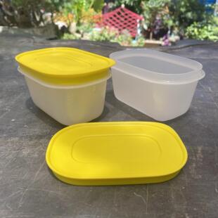 特百惠新款厨房塑料密封成人雪花保鲜迷你专业新冷冻长方盒170ML