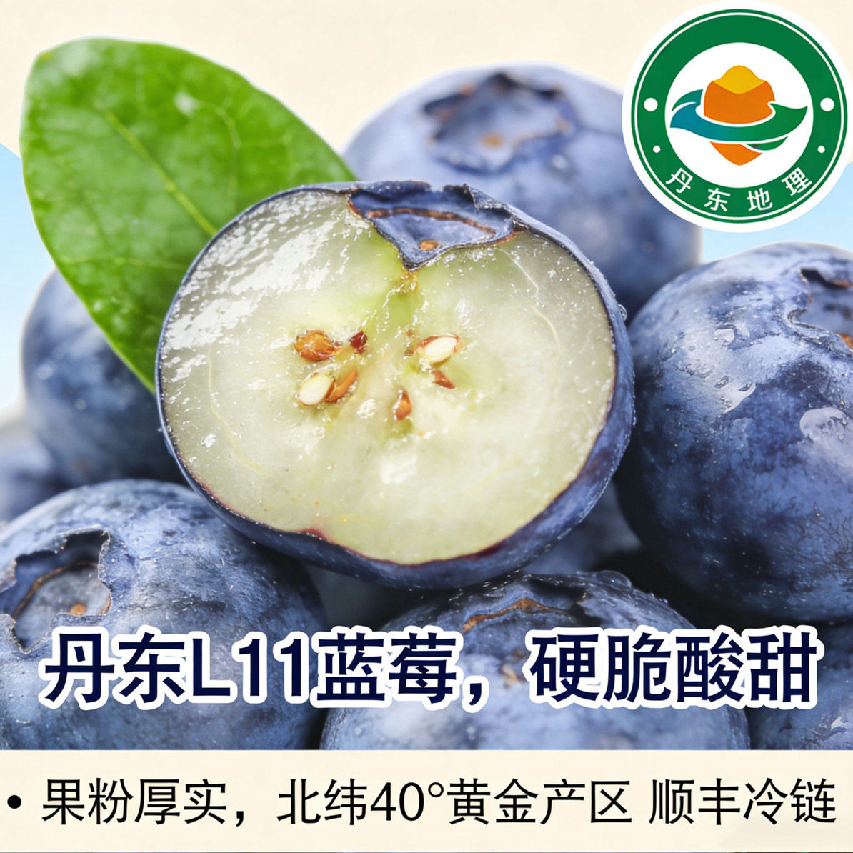 【顺丰包邮】丹东精品外贸蓝莓大蓝莓
