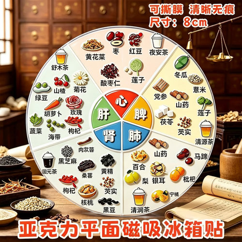 亚克力磁吸养生冰箱贴五脏六腑