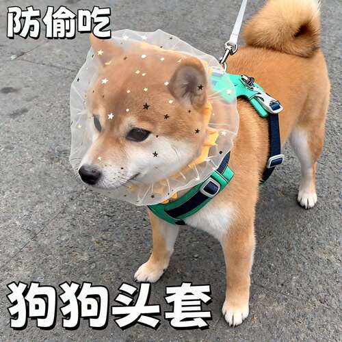 防偷吃乱吃网纱狗狗头套小型犬
