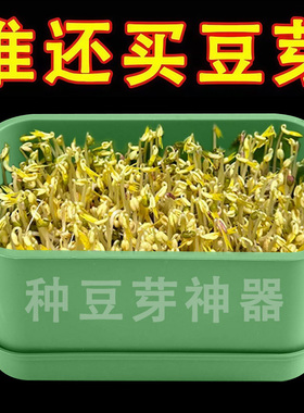 育苗盘种植发芽盆大容量家用豆芽机发豆芽专用盆神器生黄绿豆芽罐