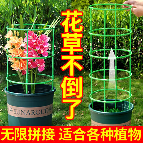 植物爬藤花架子护叶架盆栽支撑杆