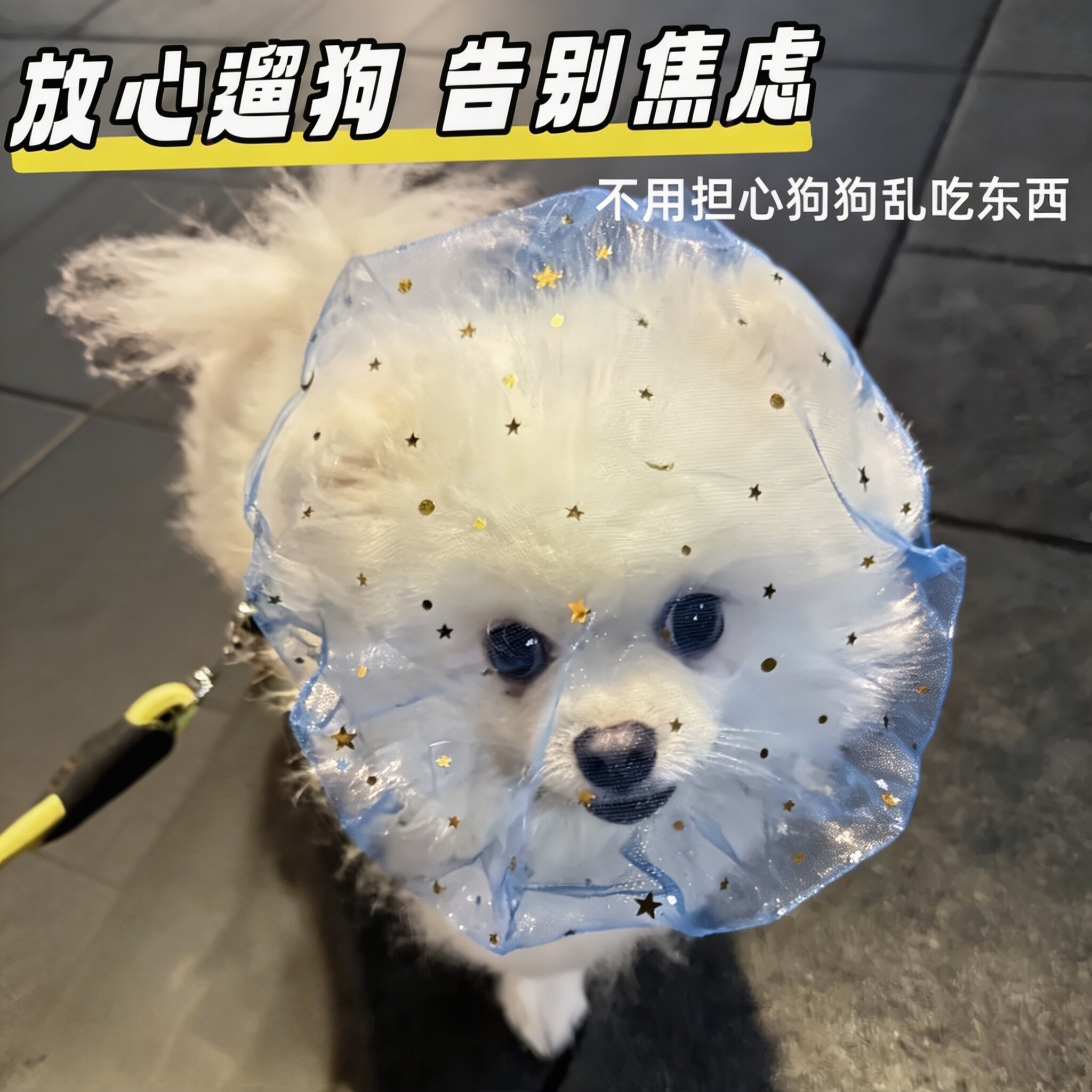 狗狗防乱吃网纱面罩头纱透气中小型犬专用嘴套防误食咬人防舔网套