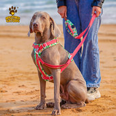 新款 柯基金毛拉布拉多遛狗绳子狗绳宠物用品 宠物胸背带舒适透气