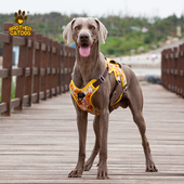 2024狗狗胸背带大型犬防爆冲防挣脱夜间反光牵引带柔软可拎狗背带