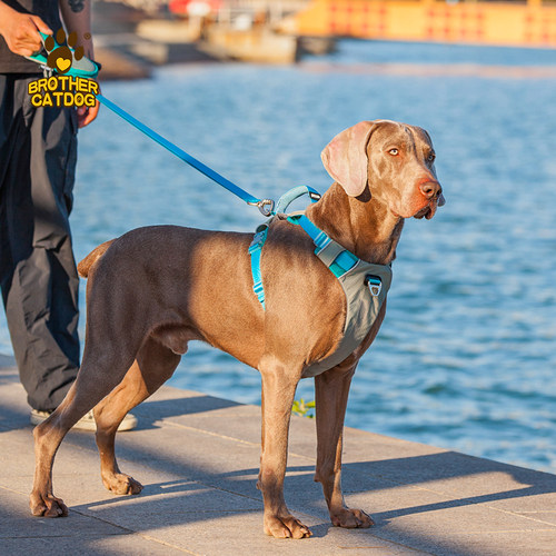 可提拉中大型犬户外防爆冲胸背带