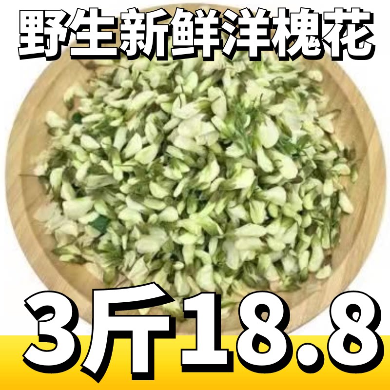 2026新鲜洋槐花山东野生槐花花骨朵现摘发货应季野菜