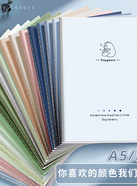 2025新款20色高颜值森系简约笔记本子ins风软面抄b5大学生大号软抄本a5学生加厚缝线本初中高中生专用缝线本