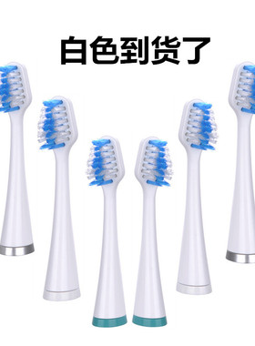 适用liaboe/waterpik洁碧电动牙刷头WP-861EC刷头cc-01/WELLNESS