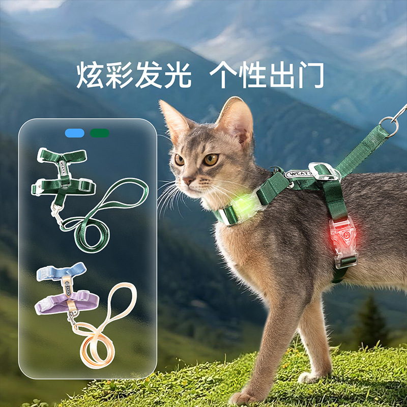 跨境新款神经猫炫彩发光工字牵引绳外出遛狗绳防爆冲狗狗猫咪