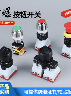 防爆防腐旋钮开关BA8097开孔30二三档EX银点转换急停按钮控制开关