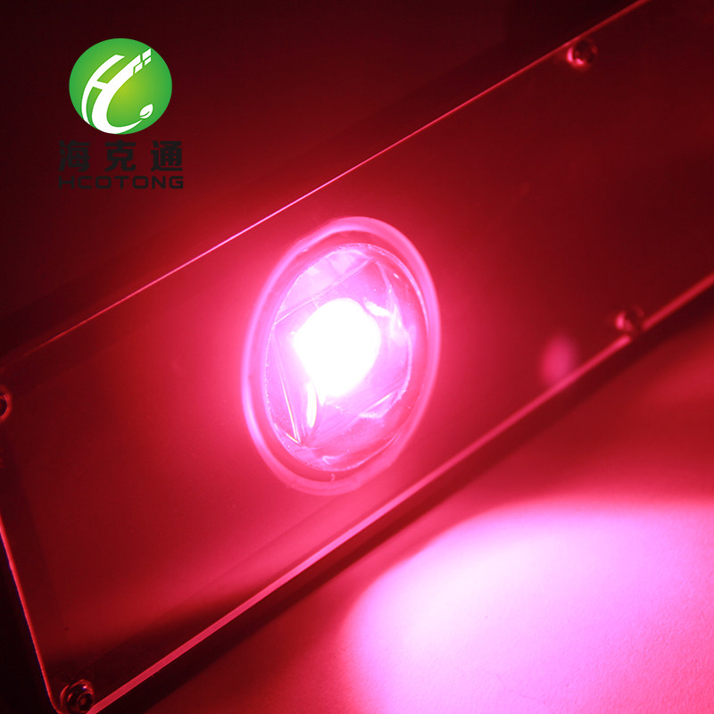 番茄补光灯 西红柿补光灯大棚补光灯 温室补光灯 大棚 补光灯植物