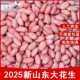 2025山东大花生新货长粒生花生农家自产无壳大粒榨油去壳花生米