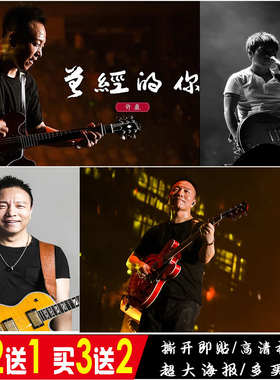 许巍海报摇滚音乐民谣歌手酒吧卧室咖啡馆装饰画背胶画报粘贴画