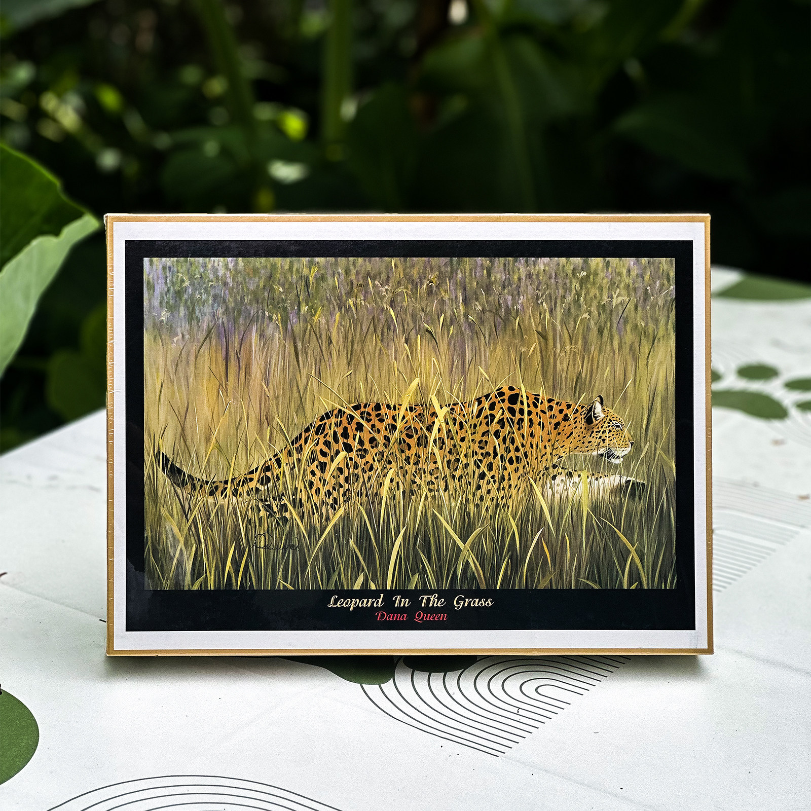 绝版现货 日本Road进口拼图 Dana Queen 丛中猎豹 Leopard 1000片