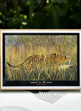 绝版现货 日本Road进口拼图 Dana Queen 丛中猎豹 Leopard 1000片