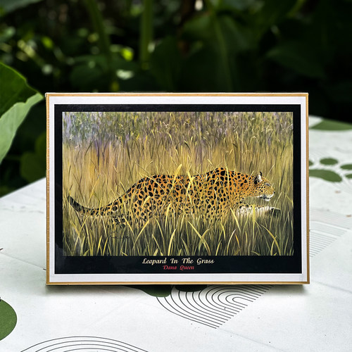 绝版现货 日本Road进口拼图 Dana Queen 丛林花豹 Leopard 1000片