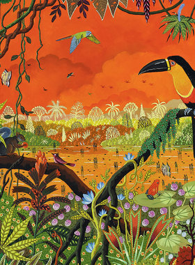 现货 法国 Pieces Peace 进口拼图 Toucan Ariel 凹嘴鹦鹉 1000片