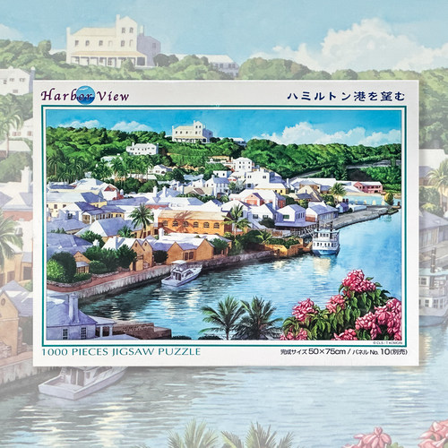 绝版 日本Yanoman进口拼图 眺望汉密尔顿港口 小森哲朗 1000片