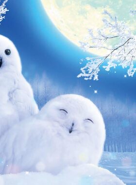 绝版现货 日本Beverly进口拼图 夜光  月光下的白色猫头鹰 1000片