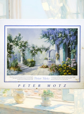 绝版现货 Central Hobby 日本拼图 Peter Motz 紫藤花园 750片