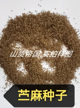 苎麻种子（白麻、白叶苎麻、中国草、圆麻、野麻）种籽包邮播种用